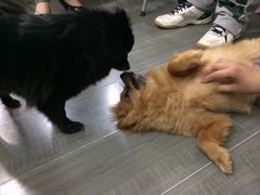 iphone_upload_pic-A+摄影