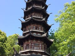 -上海佘山国家森林公园西佘山园