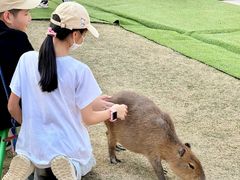 -盈香心动乐园