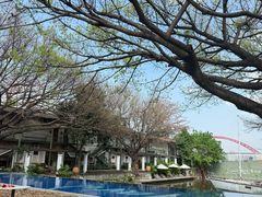 -喜洲吧·江畔老船厂·庭院餐厅(喜临院店)