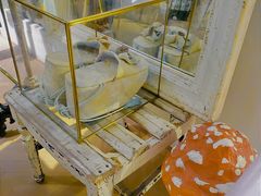 -恋物百货商店(华侨城店)