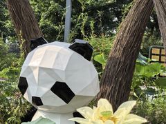 -云溪植物园