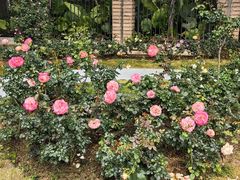 -人民公园(罗湖区)