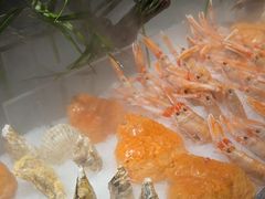 -Mr.Fish鱼鲜生海鲜放题(高德置地冬广场店)