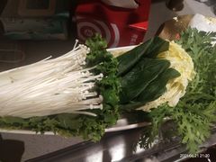 茼蒿-海底捞火锅(凯德广场店)