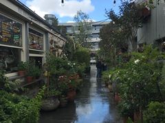 -The Grounds of Alexandria