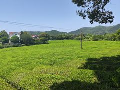 -敬亭山风景名胜区