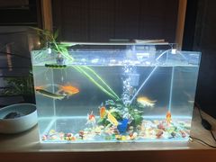 -SPA·印象足道养生(大运河度假区四望亭店)