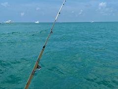 -小猫钓鱼海钓俱乐部(椰梦长廊店)