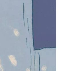 -凡碧诗毛孔收细