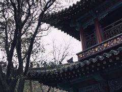 -蓬莱阁景区