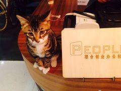 -P2·创客中心(东海广场店)