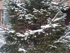 -老大烧烤(铁新里店)