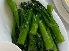 -新陶陶酒家