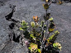-夏威夷火山国家公园