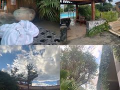 -阳宗海湿地