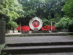 -杭州黄龙洞