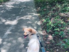 -燕晗山郊野公园