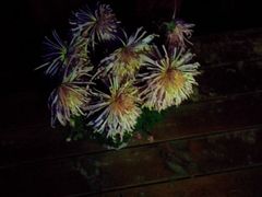 android_upload_pic-天目湖涵田度假村