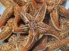 -富港会·海鲜酒楼(墟沟店)