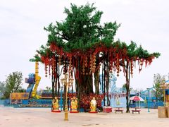 -太和环球嘉年华游乐园