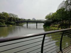 -尚贤河湿地