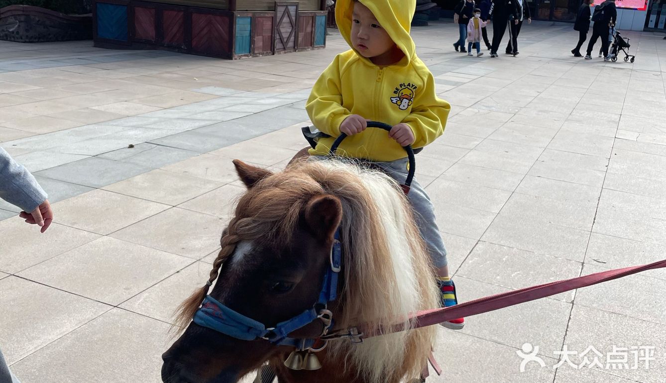 秋日遛娃海洋馆一日游