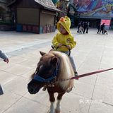 秋日遛娃海洋馆一日游