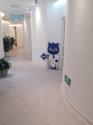 -天津伊美尔医疗整形美容专科医院