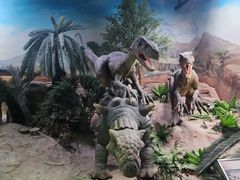 -国家自然博物馆