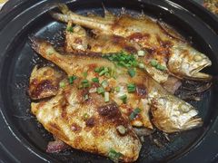 -食家鸽园