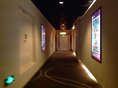 -嘉华国际影城(学清路店)