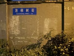 -泡桐树街