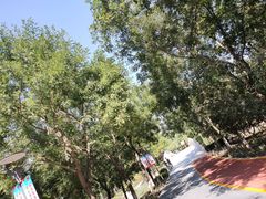 -大兴滨河森林公园