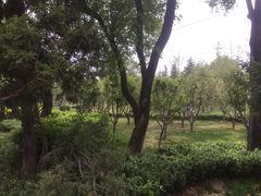 -迎泽公园