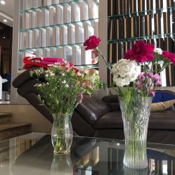 -Bollins波林丝•专研护发中心