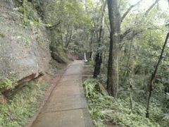 -窦圌山风景区