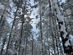 -瓦屋山景区