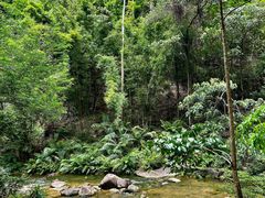 -广州白江湖森林公园