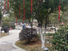 -三江森林温泉度假区