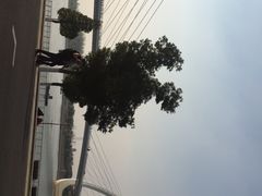 -南京眼步行桥