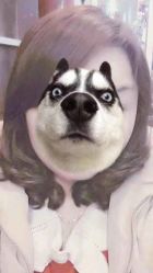 -青禾造型&刺青