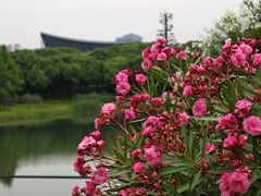 -尚贤河湿地