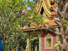 -西双版纳傣族园