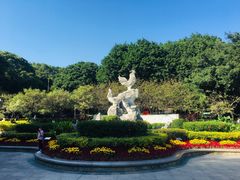 -金鸡山公园
