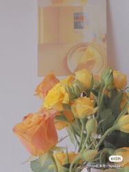 -海茱雅科技健康美容