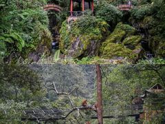 -峨眉山风景名胜区