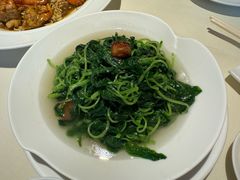 上汤蒜子泡苋菜-利苑酒家(华熙国际店)