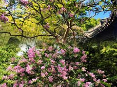 -上海醉白池公园