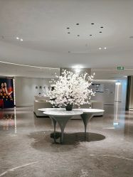 -广州美莱医疗美容医院